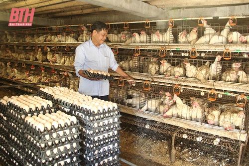 Điểm nhấn phong trào 'Cựu chiến binh gương mẫu' ở Hoằng Hóa
