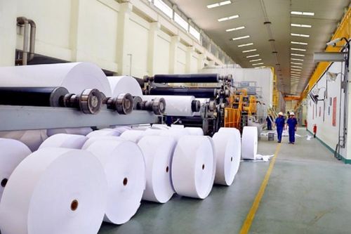 Chậm trễ sắp xếp, đổi mới gần 100 công ty nông lâm nghiệp chủ yếu vì đất đai