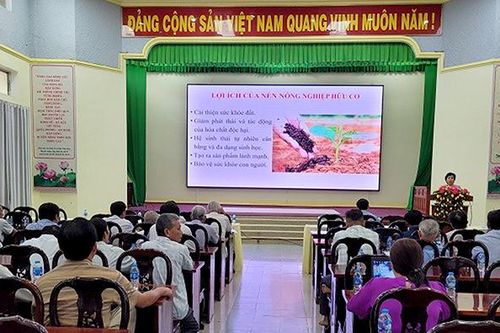 Nông nghiệp hữu cơ - Hướng đi bền vững cho nông dân Đồng Tháp