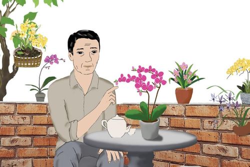 Sắc lan mùa phố