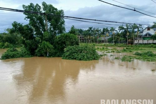 Mực nước các sông có xu hướng giảm, riêng mực nước sông Trung vẫn trên báo động 3