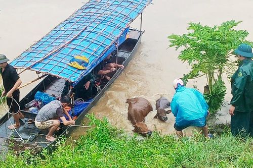 Bảo Thắng: Phát huy phương châm '4 tại chỗ' khắc phục hậu quả lũ dữ