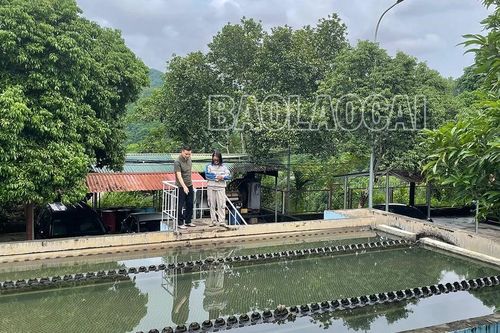 Nỗ lực để sớm cấp nước sinh hoạt trở lại