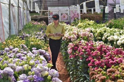 Đổi trắng thành xanh - hành trình bao lâu nữa? (Bài 3)