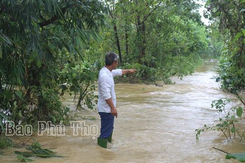 Hàng chục hộ dân xã Sông Lô phải di dời tài sản do nước sông Lô dâng cao