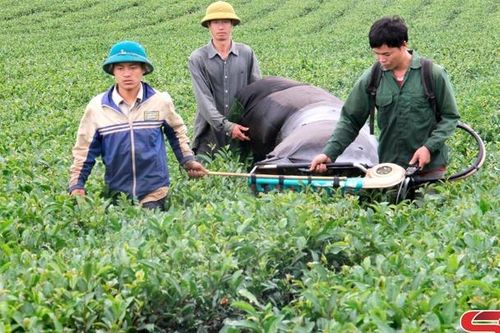 Tháo gỡ khó khăn thực hiện chương trình mục tiêu quốc gia