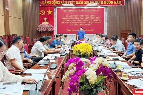 Giám sát chuyên đề thực hiện Chương trình mục tiêu quốc gia xây dựng nông thôn mới