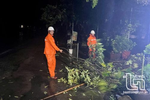 PC Thái Nguyên: Quyết liệt khôi phục hệ thống điện sau mưa bão