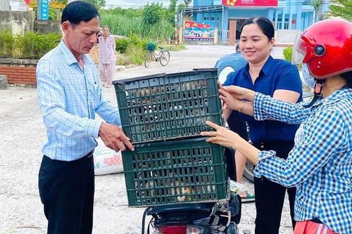 Vận động xây dựng nông thôn mới nâng cao ở Quảng Điền