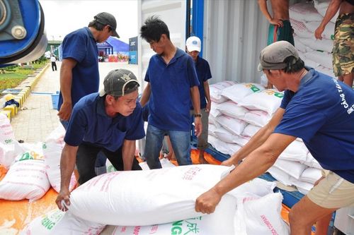 Hỗ trợ 200 tấn gạo cho 14 địa phương bị ảnh hưởng bởi bão số 3