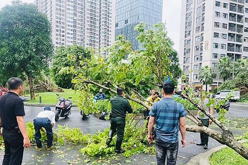 Gia Lâm (Hà Nội): Khẩn trương khắc phục hậu quả thiên tai