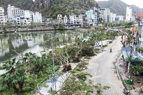 Đảo ngọc Cát Bà tan hoang sau bão