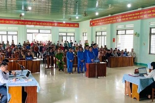 Xét xử vụ án hủy hoại rừng mà Báo CAND phản ánh