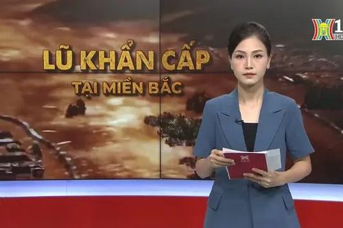 Chương trình Thời sự 11h30 | 10/09/2024