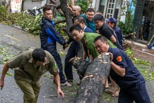 TPHCM chi viện cán bộ khắc phục hậu quả bão số 3