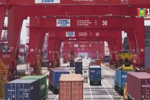 WTO: Thuế quan gây thiệt hại nhiều nhất cho người nghèo
