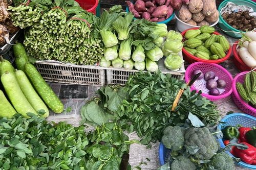 Sau bão, rau xanh ở Hà Nội khan hiếm, đội giá gấp đôi
