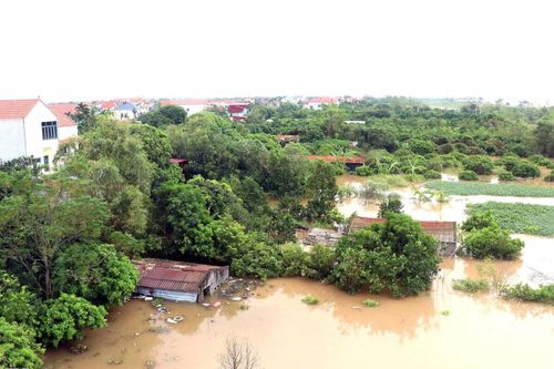 Hưng Yên phát lệnh báo động 2 trên tuyến đê tả sông Hồng