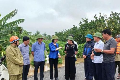 Ứng Hòa: Quyết liệt bảo vệ vùng xung yếu, bảo đảm an toàn khu dân cư