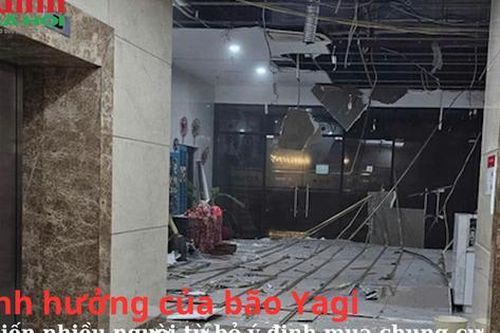 Ảnh hưởng của bão: nhiều chung cư sập trần, nứt cửa sổ, rơi gạch... khiến nhiều người từ bỏ ý định mua chung cư