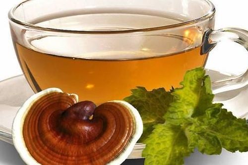Linh chi loại 'nấm trường sinh' nhưng cần lưu ý gì khi sử dụng?