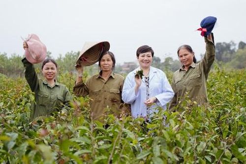 Hành trình 800km tham quan vùng dược liệu và nhà máy sản xuất của Công ty Kiềm Saphia