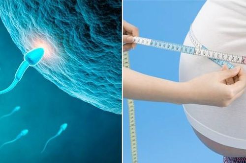 Giảm cân giúp nam giới tăng chất lượng tinh trùng