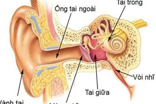 Viêm tai giữa: Nguyên nhân, triệu chứng, cách điều trị và phòng bệnh