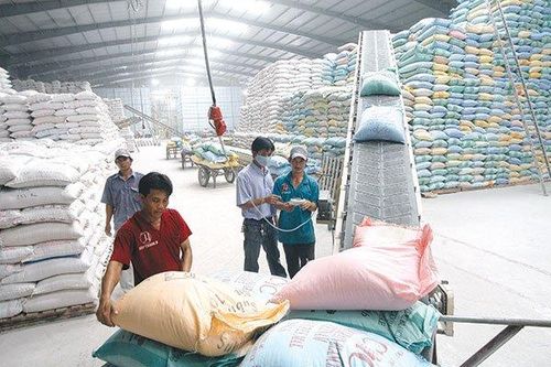 Hỗ trợ 200 tấn gạo cho 14 địa phương bị ảnh hưởng bão số 3