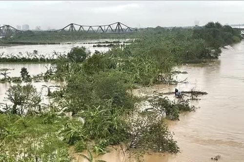 Giải cứu 3 người mắc kẹt ở bãi giữa sông Hồng