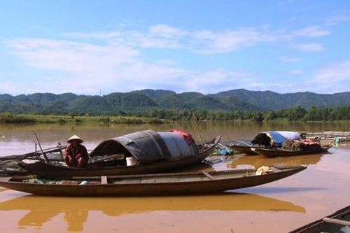 Bắt cá mùa lũ
