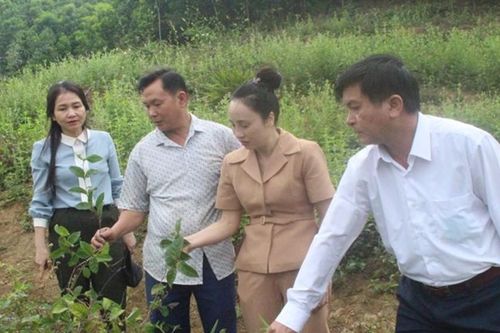 Phát triển kinh tế Hợp tác xã trong đồng bào dân tộc thiểu số
