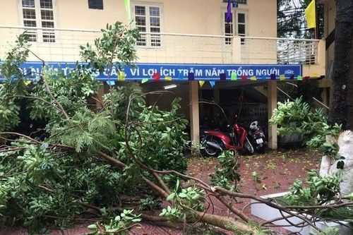 Hà Nội có 126 trường tạm dừng học trực tiếp do mưa lớn