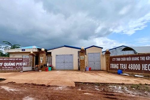 Kiểm tra trại heo lớn nhất tỉnh sau phản ánh Báo Kinh tế & Đô thị