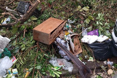 Cần sự chung tay, góp sức của Nhân dân trong đảm bảo môi trường sau bão