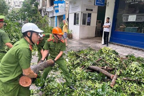 Hà Nội yêu cầu khẩn trương trồng lại cây xanh nghiêng, đổ