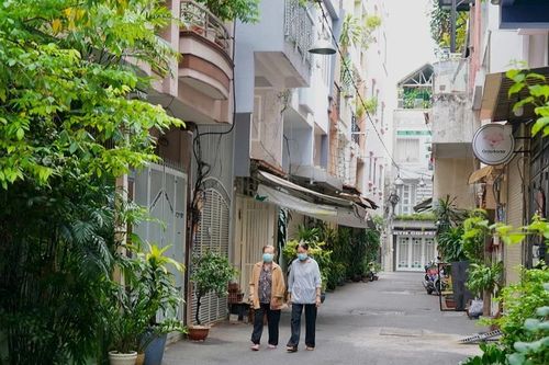Phát triển cây xanh đô thị đảm bảo an toàn, hiệu quả