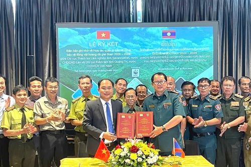 Quảng Trị - Savannakhet (Lào) tăng cường hợp tác quản lý bảo vệ rừng, động vật hoang dã
