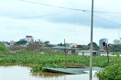 Hà Nội báo động lũ cấp II trên sông Hồng