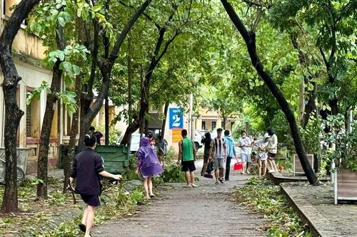 Các trường đại học dùng ký túc xá đón sinh viên phải sơ tán vì mưa bão