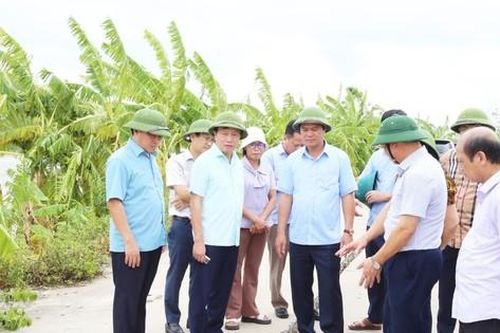 Bắc Ninh cấm phương tiện di chuyển trên đê, trừ các xe làm nhiệm vụ