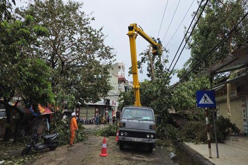 Đã khôi phục cấp điện cho hơn 81% khách hàng bị ảnh hưởng do bão