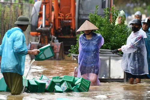 Lũ sông Hồng trên báo động 2, người dân ngoài đê hối hả chạy lụt