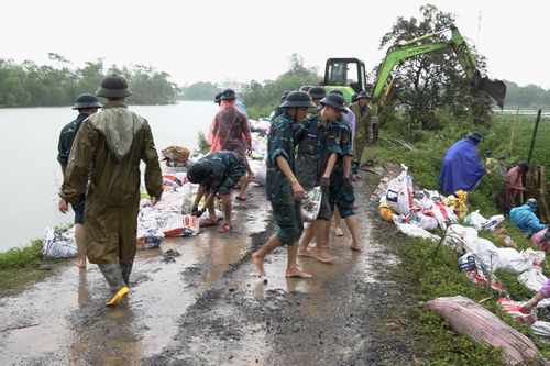 Nước lũ đổ dồn về, nghìn người dầm mưa giữ đê ở Hà Nội
