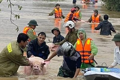Nước sông Đáy vượt mức báo động 3, Hà Nam di dời khẩn cấp gần 2.800 người dân