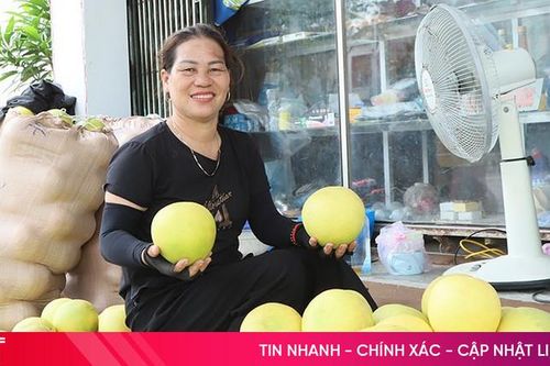 Cuối vụ thu hoạch, bưởi Phúc Trạch vẫn hấp dẫn thị trường