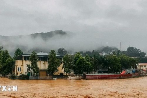 Ngoại trưởng Séc chia buồn với Việt Nam về thiệt hại do bão số 3 gây ra