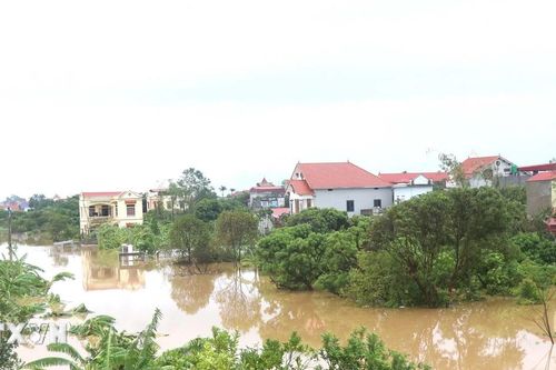 Hưng Yên chủ động ứng phó với lũ lớn trên sông Hồng