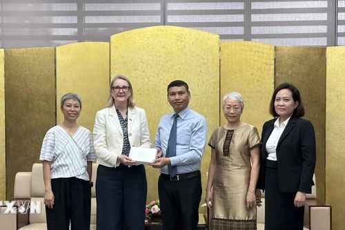 Thúc đẩy hợp tác giữa Đà Nẵng với các địa phương của Australia