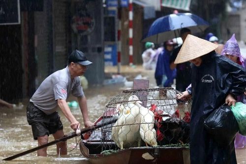 Hà Nội: Mưa lớn trên diện rộng, nhiều tuyến đường tiếp tục bị ngập sâu